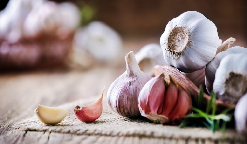 cloves of garlic for homesteading