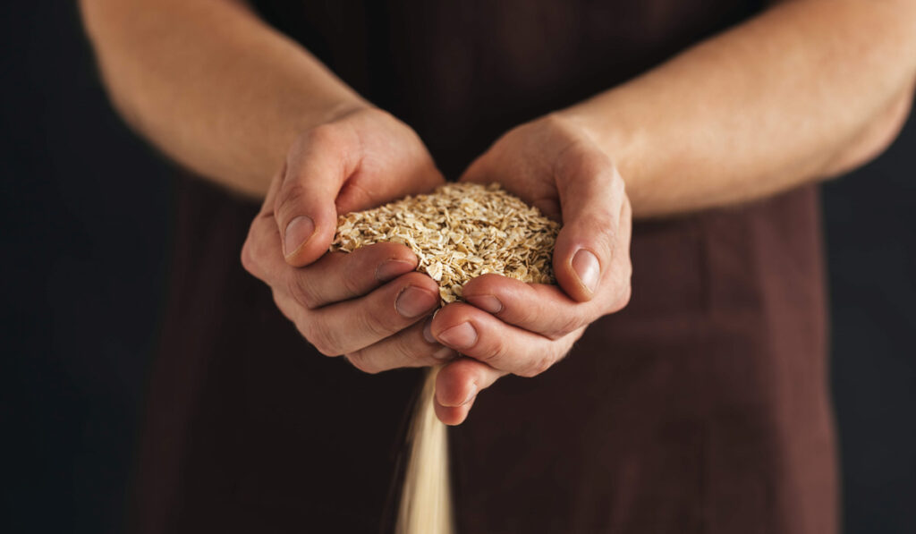 handful of oat grains