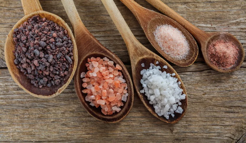 salt variety on wooden spoon