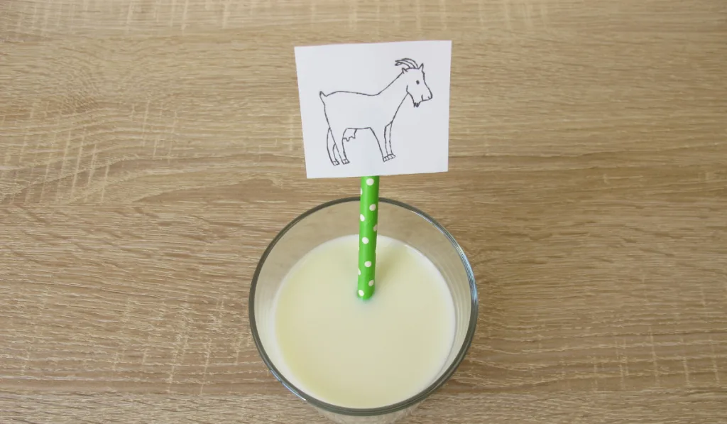 A goats milk with green white polka dots straw and a drawing of a goat.