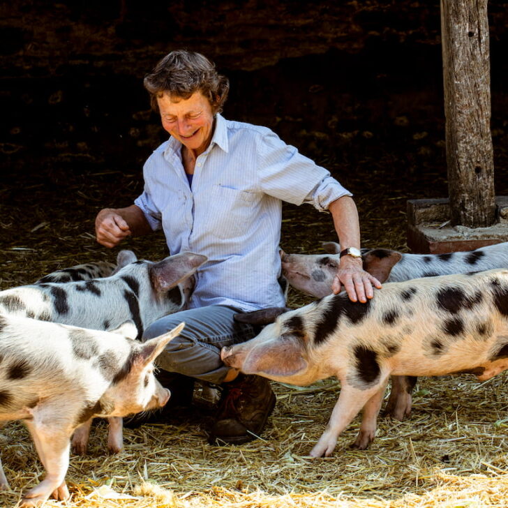black spotted pigs with their happy owner in the barn