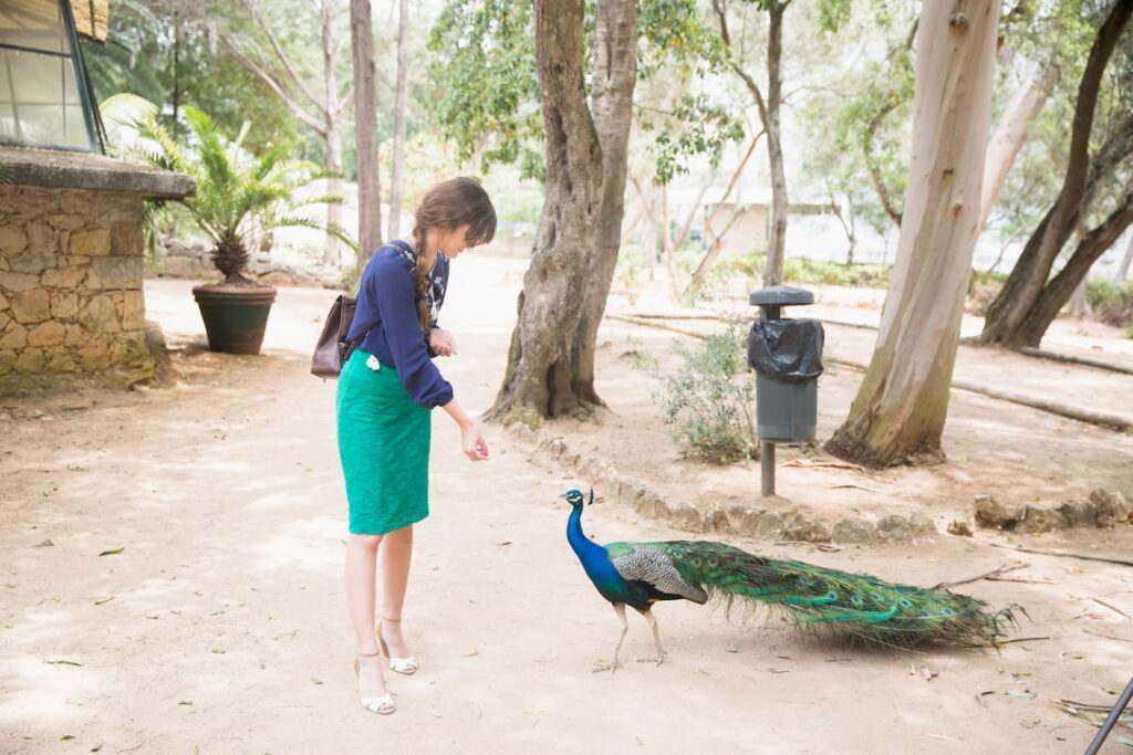 a woman feeding a peacock in the park