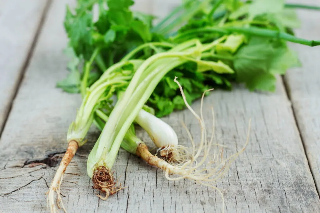 celery on wooden floor