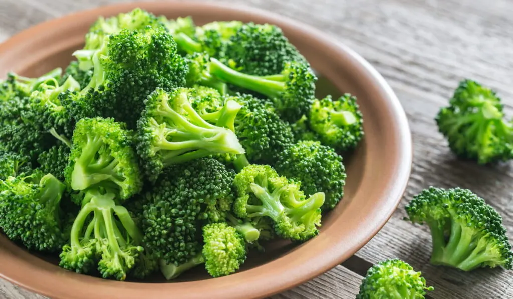 Cooked broccoli on the plate