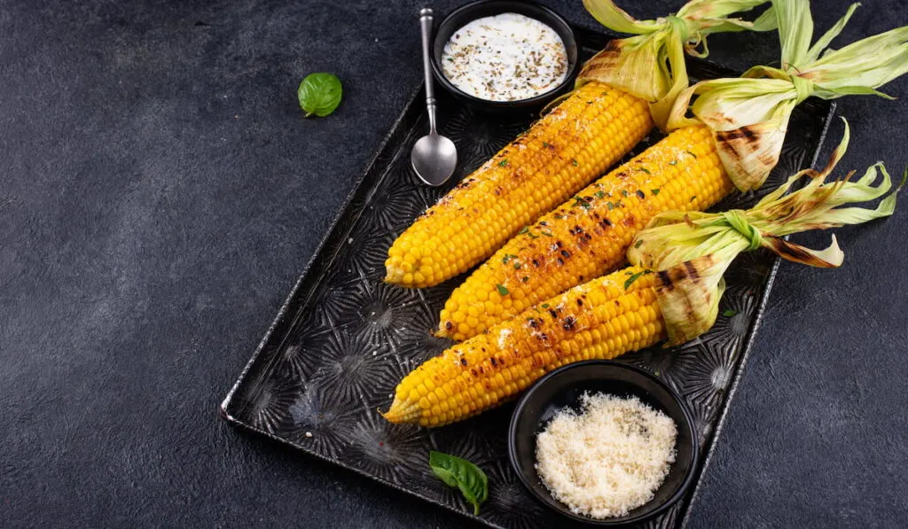 Grilled corn cobs with parmesan cheese