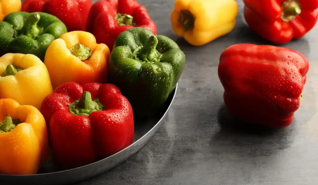 Red, green and yellow sweet bell peppers on table, close up