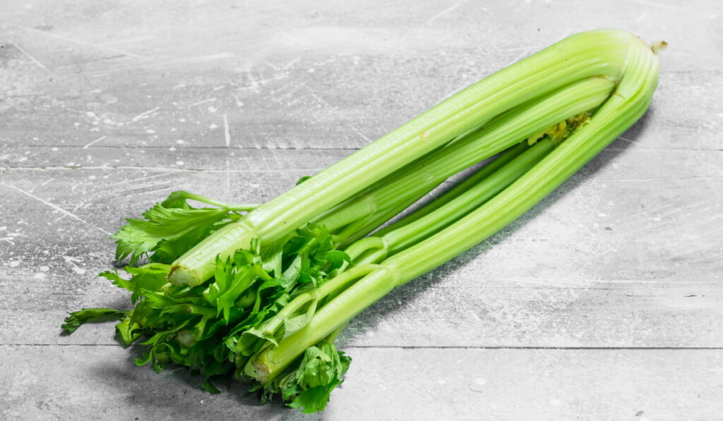 celery on  kitchen table