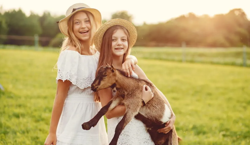 cute girls in a field with a goat