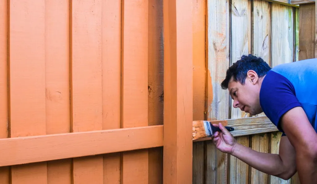 painting a fence