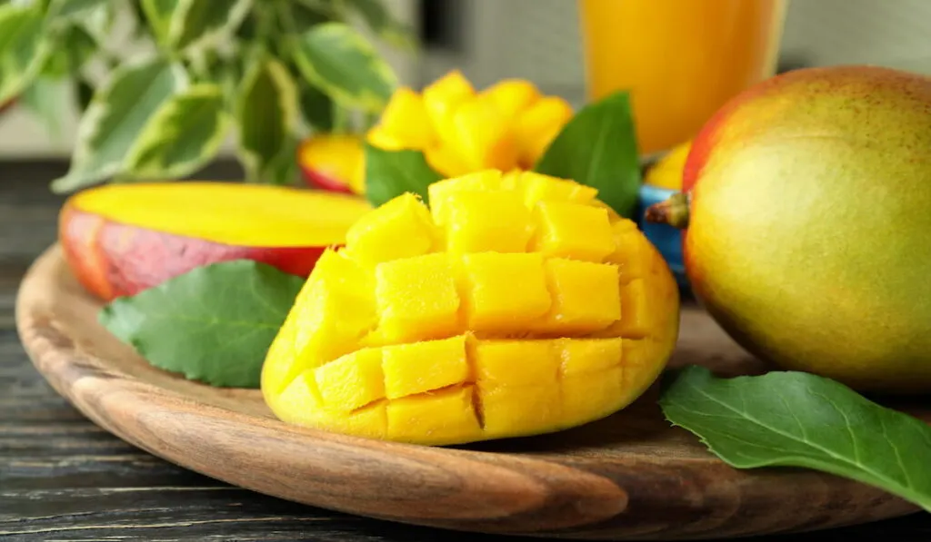 ripe mango fruit 