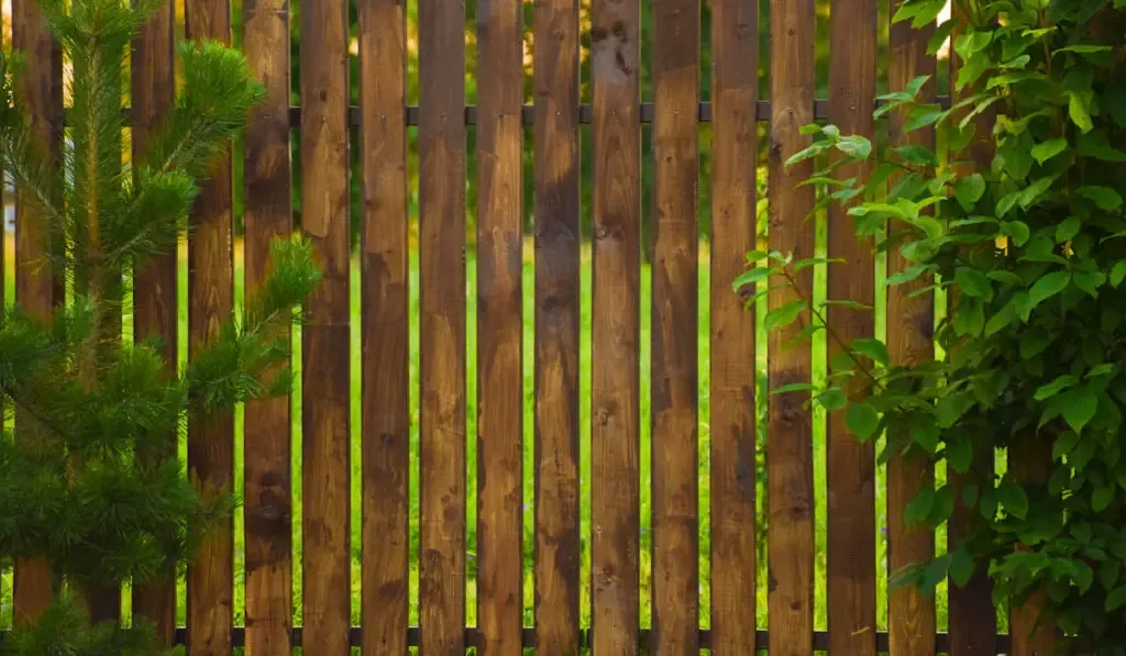 Fence of wooden boards