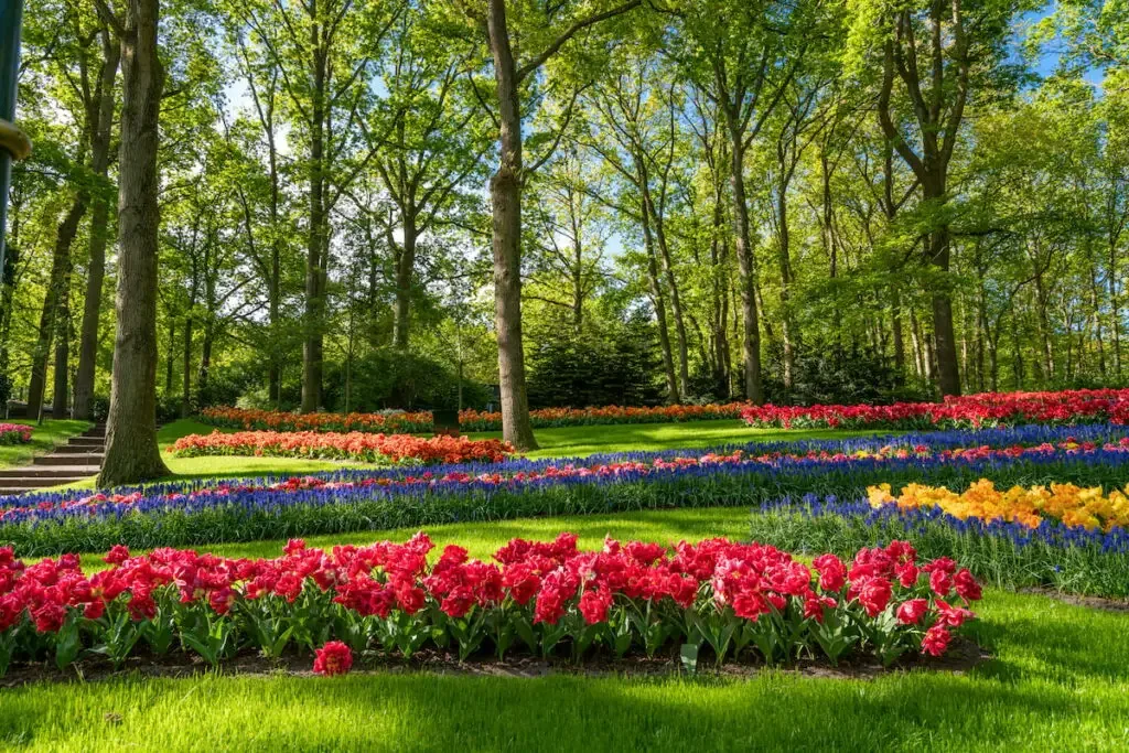 flower bed in a park serving as marks of the property line