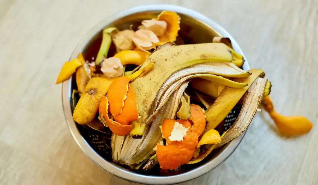 Kitchen scraps,  leftover from kitchen in a bowl on wooden table