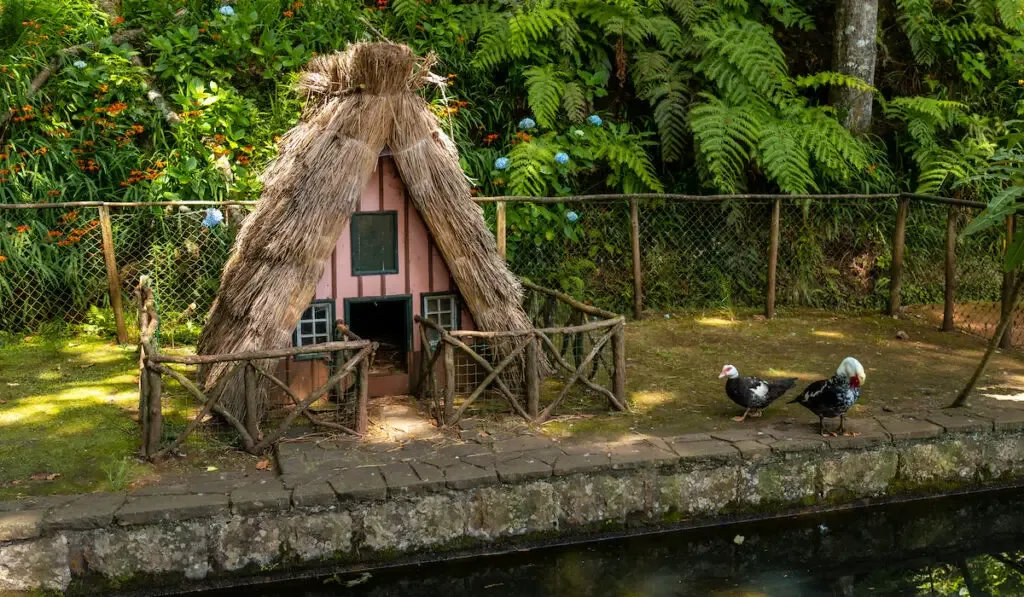 Traditional house for the ducks on the duck pond 