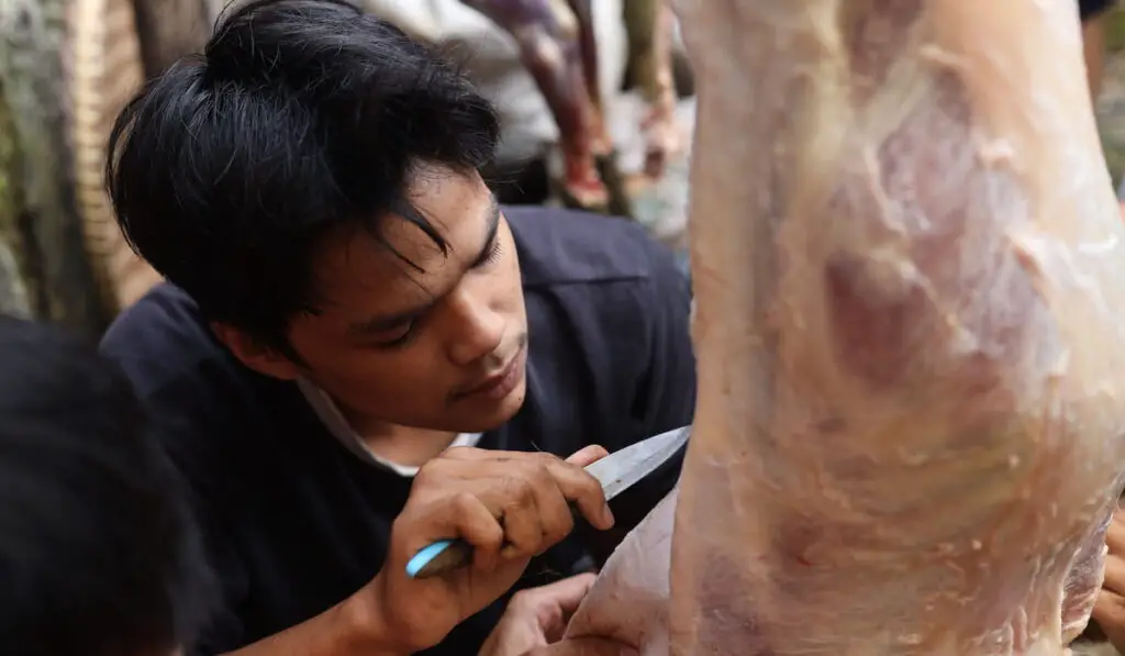 Man cutting goat meat 